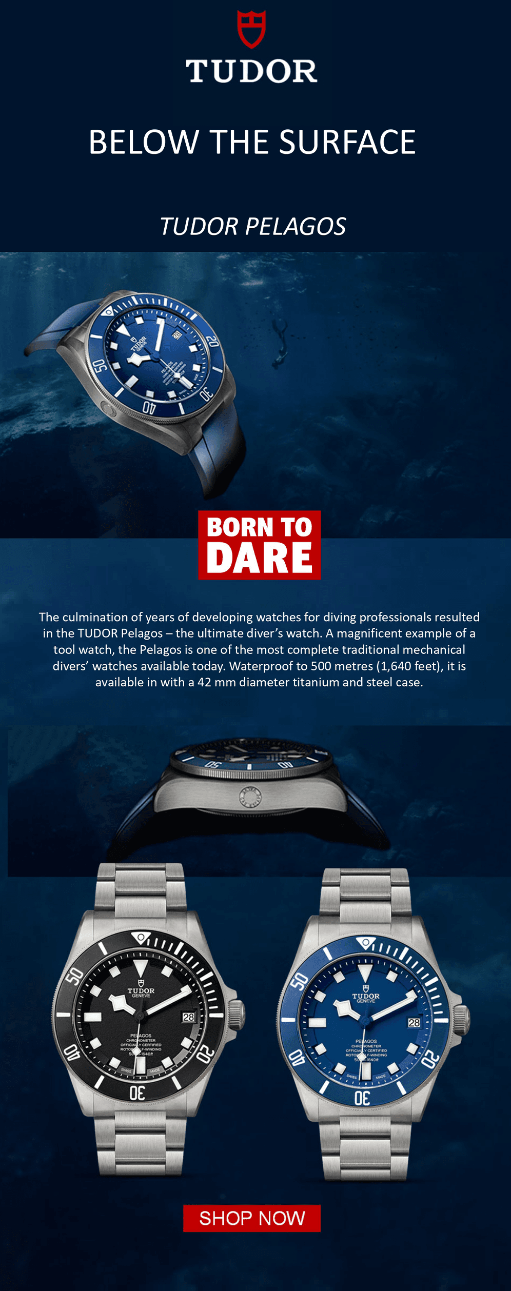 Branded email campaign graphic layout.